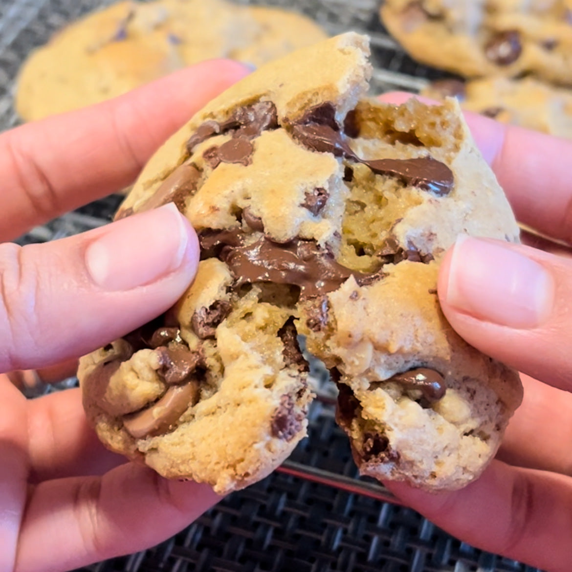 brown butter chocolate chip cookies